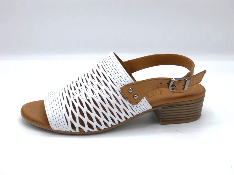 WILD 1529A1