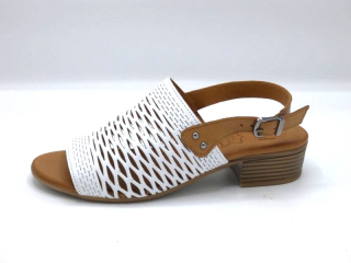 WILD 1529A1